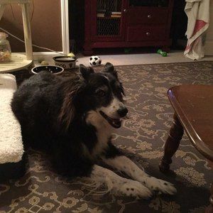 Meet your Posher, Tina